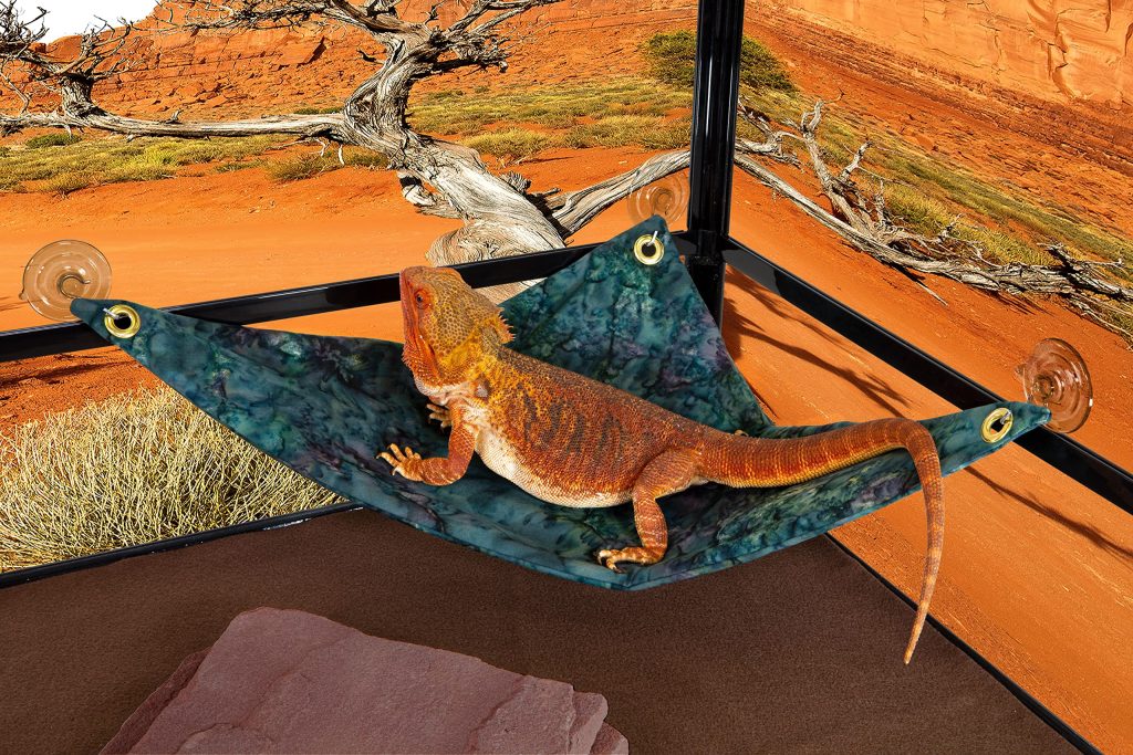 bearded dragon decor