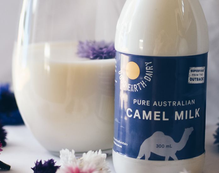 What Color Is Camel’s Milk?